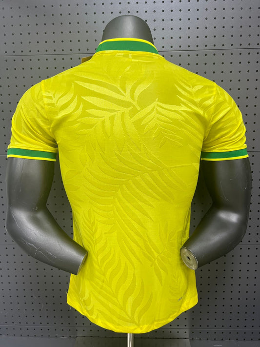 Brazil 25 Special Authentic Jersey